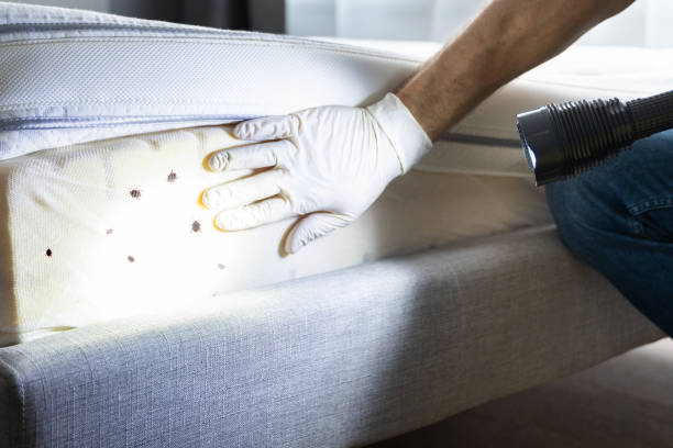 Best Pest Prevention Services  in , KY