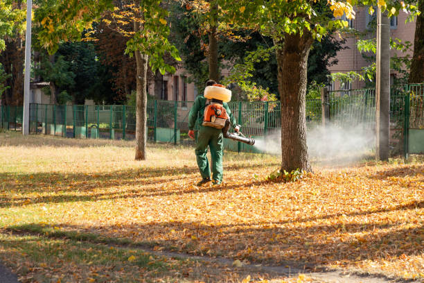 Best Wasp Removal Services  in , KY